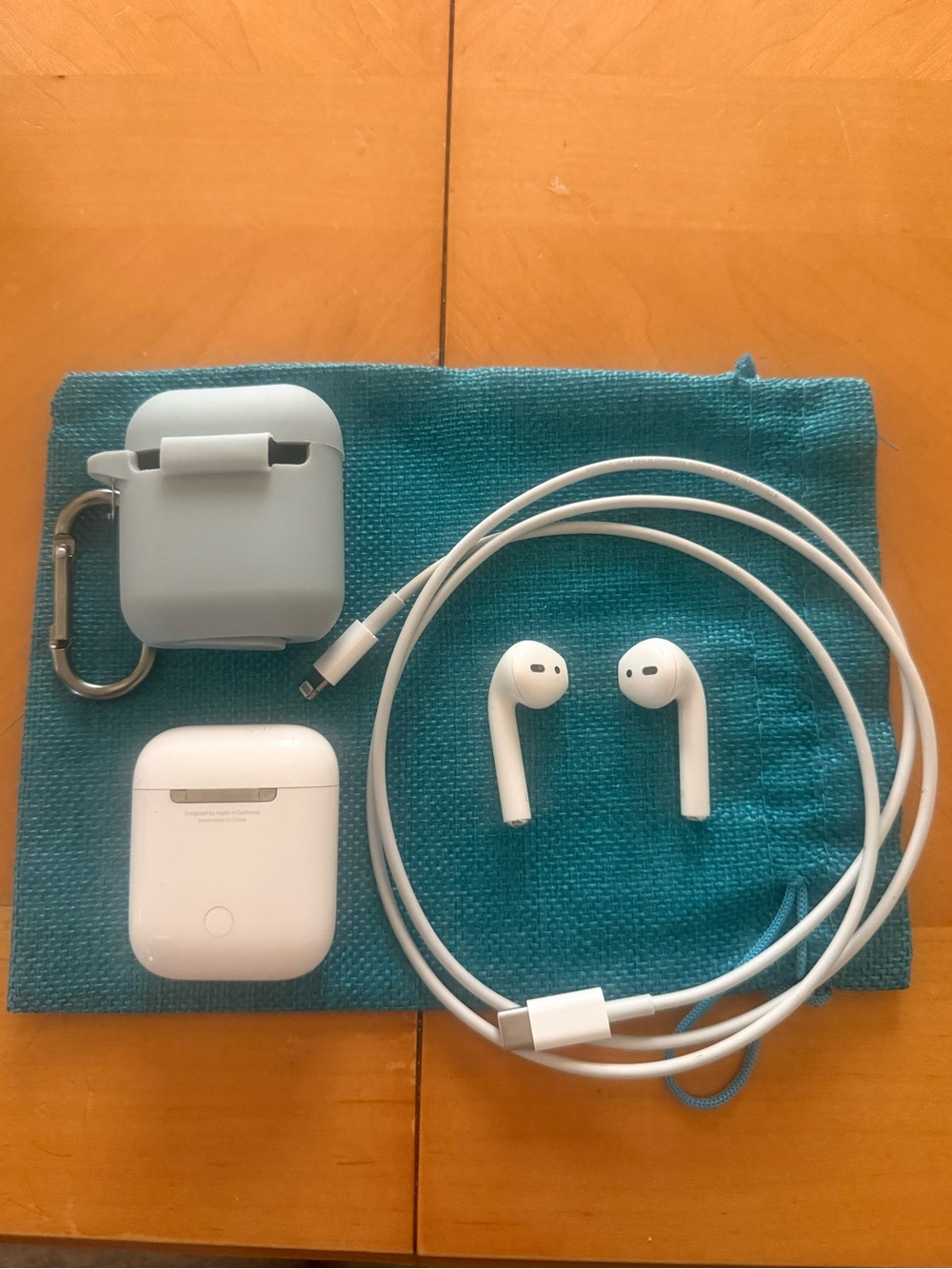 Apple White Earbuds with White Lightning Cable and Teal Protective Case